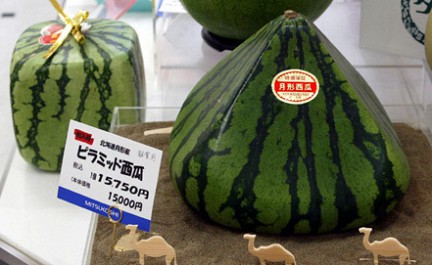 На аукционе в Японии элитный сорт арбуза был продан почти за 3,2 тыс долларов