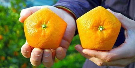 Пятиугольные апельсины