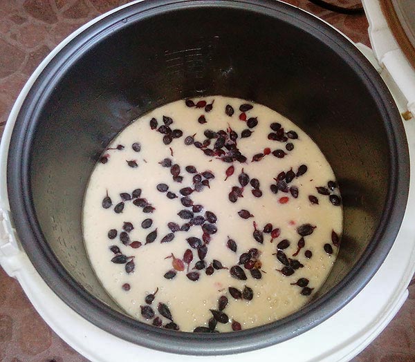 Очень простой кекс с ягодами на кефире в мультиварке.(Фоторецепт)