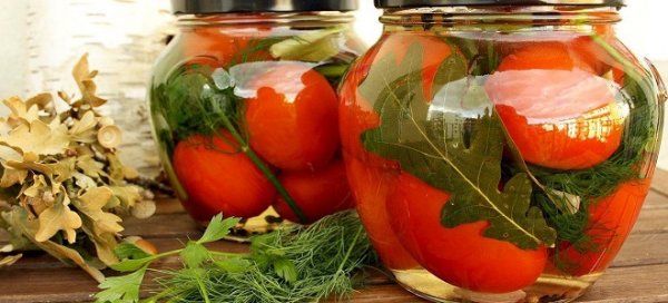 10 простых способов, как заготовить солёные помидоры на зиму в банках