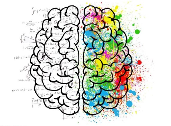  Заряжай мозги: 5 продуктов, улучшающих умственные способности