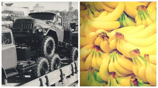 Военная техника в обмен на бананы, или Как в СССР появились экзотические плоды