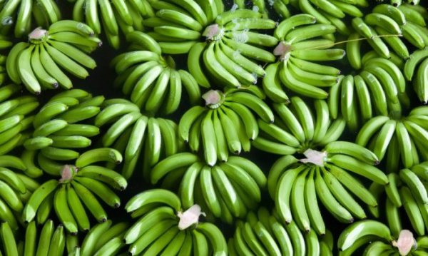 Военная техника в обмен на бананы, или Как в СССР появились экзотические плоды
