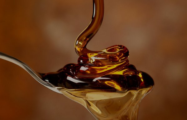 «Неправильный мед»: 4 верных способа, как проверить качество меда в домашних условиях