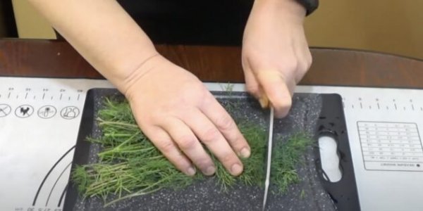 Как заморозить укроп и зеленый лук на зиму