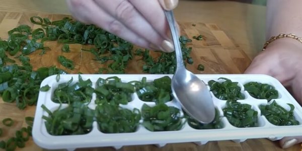 Как заморозить укроп и зеленый лук на зиму