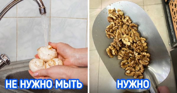 Мы разобрались, какие продукты перед приготовлением нужно мыть, а какие — не стоит Мы разобрались, какие продукты перед приготовлением нужно мыть, а какие — не стоит