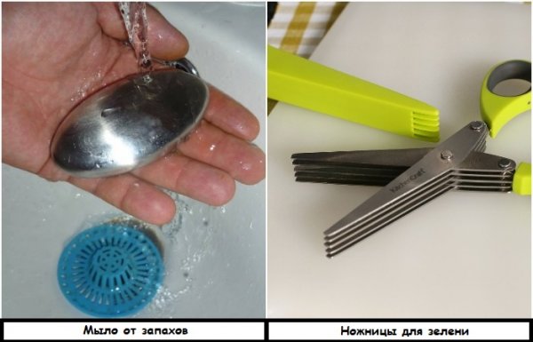 Деньги на ветер: 7 девайсов для кухни, где ожидания не совпали с реальностью Деньги на ветер: 7 девайсов для кухни, где ожидания не совпали с реальностью