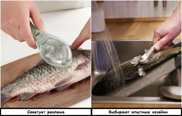 Деньги на ветер: 7 девайсов для кухни, где ожидания не совпали с реальностью Деньги на ветер: 7 девайсов для кухни, где ожидания не совпали с реальностью