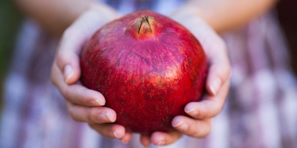 Зимний антидепрессант: как правильно хранить гранат, чтобы он неделями оставался вкусным и сочным Зимний антидепрессант: как правильно хранить гранат, чтобы он неделями оставался вкусным и сочным