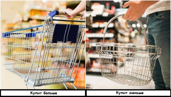 5 ������ ������ � ������������, ��-�� ������� ������� ����� ������