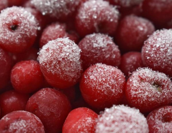 ����� �������� ���������� ��������� � ���������: ��� ����� �����