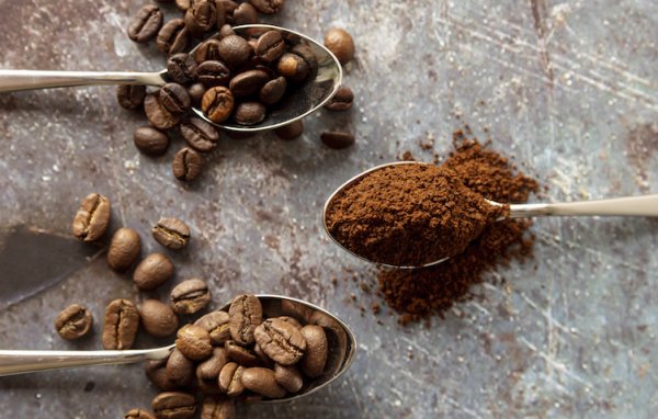 В чём разница между кофе арабика и робуста В чём разница между кофе арабика и робуста