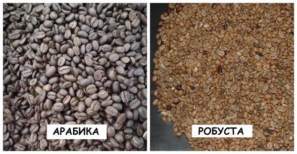 � ��� ������� ����� ���� ������� � �������