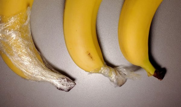 8 ���������� ���������, ������� ������� ��������� �� �����