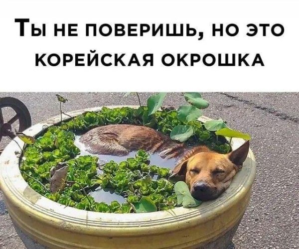 ���� ��� ���, ��� ����� ������� � ��������!