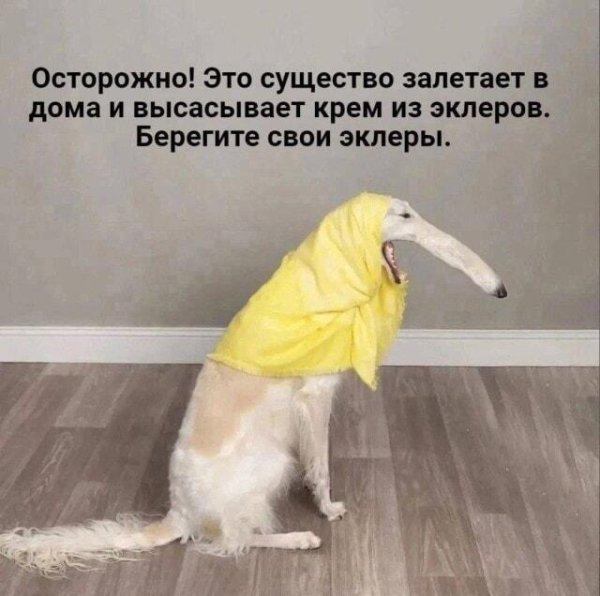 ����� �������� ���� ������ � ������� � ����� � ������� ���� � �������� ��� ������!