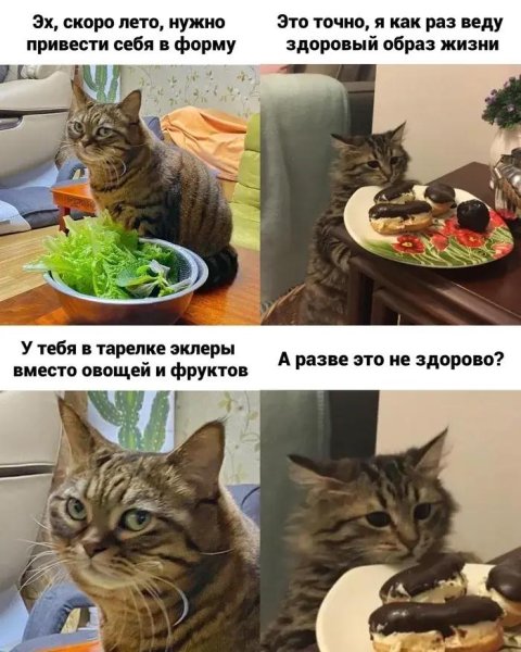 ����� �������� ���� ������ � ������� � ����� � ������� ���� � �������� ��� ������!