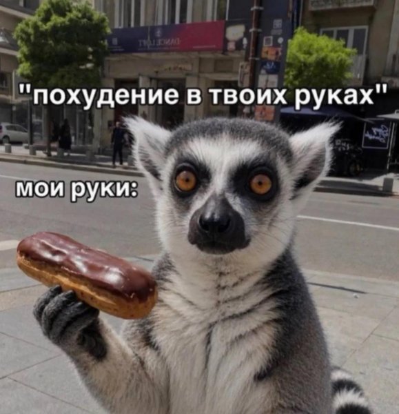 ����� �������� ���� ������ � ������� � ����� � ������� ���� � �������� ��� ������!